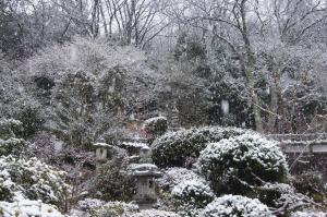 降りますねえ。 降りますねえ。
